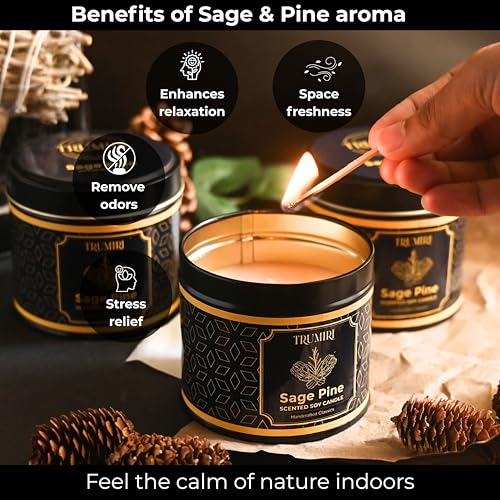 Sage & Pine Candle Strong Scented Soy Candel Natural Non Toxic Velas Aromáticas for Home Gift for Fall Christmas Holidays ...