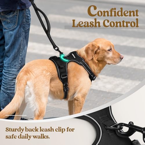rabbitgoo Dog Harness No Pull with 2 Leash Clips, Adjustable Soft Padded, Reflective Oxford No Choke Pet Vest with Easy Co...