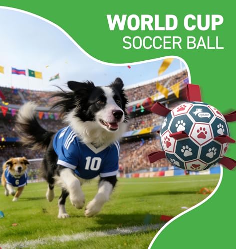 QDAN Dog Balls, World Cup Soccer Ball with Straps, Durable Herding Balls for Small Medium Pet, Puppy Birthday Gifts, Dog W...