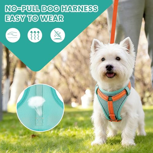 PAWDAY No-Pull Dog Harness with Dog Leash Breathable Mesh Adjustable Soft Padded Pet Vest Reflective for Small/Medium/Larg...
