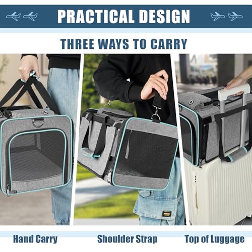 GAPZER Cat Carrier Alaska Airline TSA Approved 17x11x9.5 Soft-Sided Small Pet Air Travel Carry Bag, Southwest Airplane Kit...