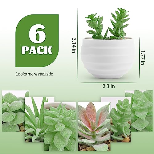Der Rose Set of 6 Succulents Plants Artificial in Pots Small Fake Plants for Bedroom Aesthetic Living Room Shelf Bathroom ...