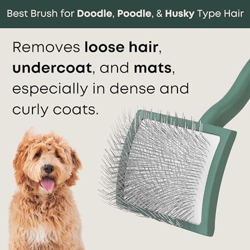 Freshly Bailey Doodle Brush for Goldendoodle, Poodle, and Labradoodle Coats - Best Slicker for Dogs With Wavy & Curly Hair...
