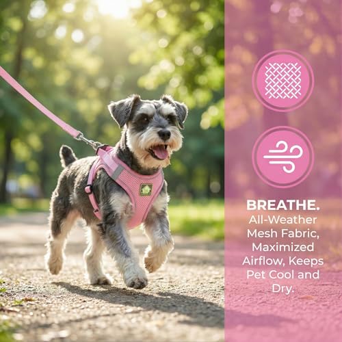 Dog Harness with Leash Set, No Pull Adjustable Reflective Step-in Puppy Harness with Thickened Padded Vest for Extra-Smal...