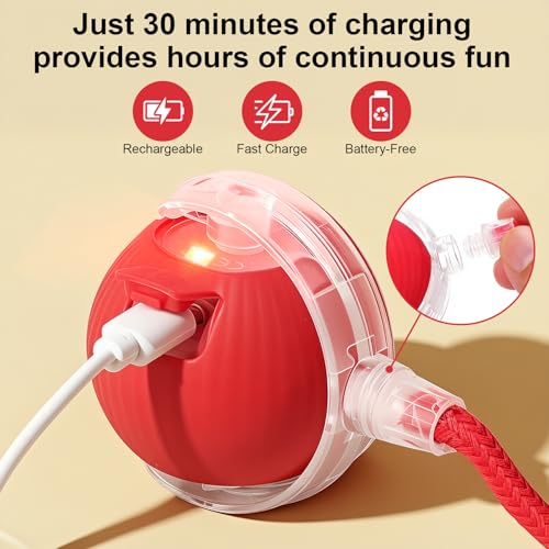SilveWillo Interactive Electric Automatic Rolling Moving USB Rechargeable Self Activated Play Stimulation Toy Smart Chase ...