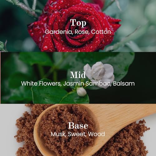 M&SENSE Natural Soy Candle| Puffy-Cloud Dream | 5.3 oz | Mini Spring Scented Candles for Relaxation, Valentines Day Gift, ...