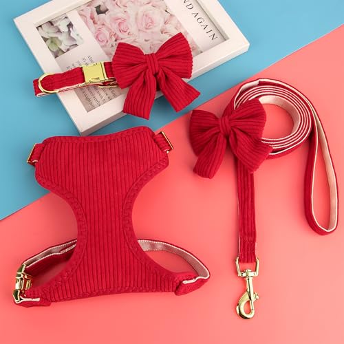 Didog Cute Small Dog Harness Collar and Leash Set with Bowtie, Breathable Soft Mesh Padded Puppy Harness, Christmas Dog Ha...