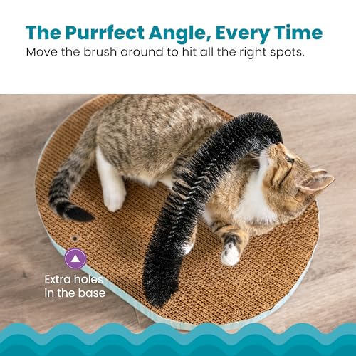 Catstages Scratch & Groom Cat Scratcher with Removable Curved Brush for Self-Grooming Station, Orange
