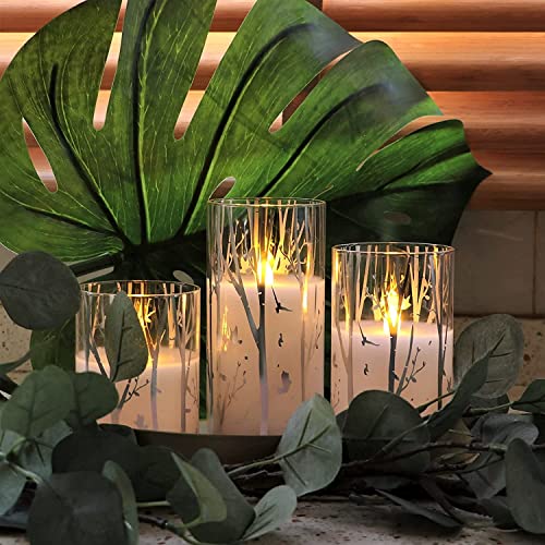 Rhytsing Birch Design Glass Battery Operated LED Candles with Timer, Flameless Pillar Candles Spring & Summer Decor- Inclu...