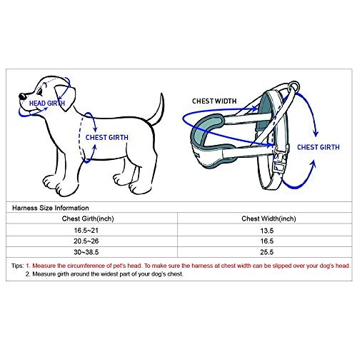 Blueberry Pet Soft & Comfy Multi-Colored Stripe Fleece Padded Chest Dog Harness, Chest Girth 16.5" - 21", Olive Green, Sma...