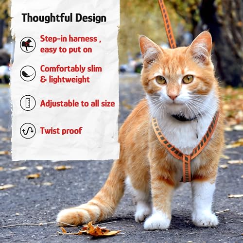 Filbert Cat Harness and Leash Set with Reflective Strip, Thin Cat Harness Escape Proof with Leash, Step-in, Adjustable, In...