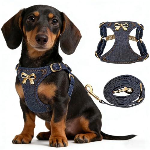 No Pull Dog Harness and Leash Set for Small Sized Dog Training Puppy Harnesses with Multifunction Dog Leash Soft Adjustabl...