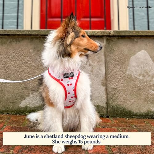 Lucy & Co. Cheery Cherries, Cute Reversible Dog Harness Walking Halter - Best Designer Pet Harnesses for XS - XL Dogs - Pa...