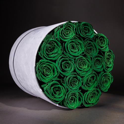 Prifroti 17 Flowers in a Luxury Suede Box, Birthday Gifts for Women, Preserved Flowers, Mothers Day Roses Gift for Mom, Da...