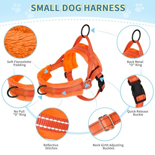 Lukovee No Pull Dog Harness and Leash Set, Soft Padded Small Dog Harness, Neck & Chest Adjustable Reflective Vest Puppy Ha...