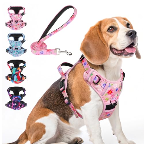BEAUTYZOO No Pull Dog Harness and Leash Set with 2 Metal Leash Clips - Overhead-Free 3 Snap Buckles Design, Adjustable No-...