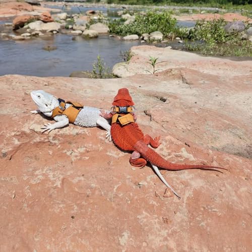 3 Pack Bearded Dragon Harness and Leash Set - Adjustable Soft Leather Lizard Harness Leash Small Animal Traction Rope Trai...