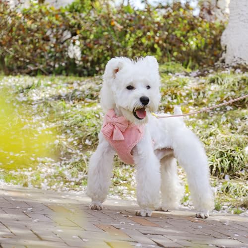 Didog Cute Small Dog Harness Collar and Leash Set with Bowtie, Breathable Soft Mesh Padded Puppy Harness, Pink Dog Harness...