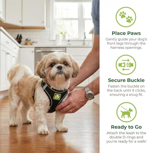 Dog Harness with Leash Set, No Pull Adjustable Reflective Step-in Puppy Harness with Thickened Padded Vest for Extra-Smal...