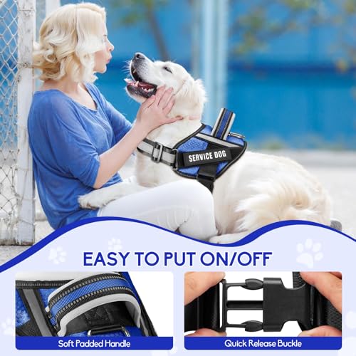 Service Dog Vest Harness and Leash Set, Animire in Training Dog Harness with 10 Dog Patches, Reflective Dog Leash with Sof...