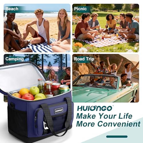 Hulongo Insulated Foldable Collapsible Cooler Bag Soft Sided Cooler for Picnic, Camping, Grocery Shopping, Beach, 30L