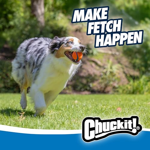 Chuckit! Ultra Ball Dog Toy - Medium Bouncy Fetch Balls For Dogs 20-60 lbs - Made from Durable Rubber - Floating Water Pet...