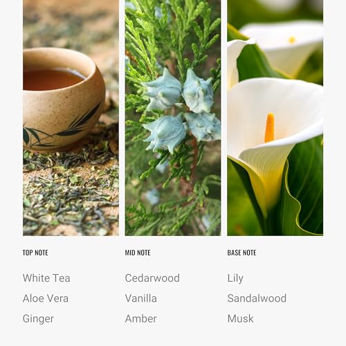 Hotel Collection Diffuser Oil-Dream On Pro-Pod-Aromatherapy Essential Fragrance-Luxury Hotel Inspired-White Tea, Cedarwood...