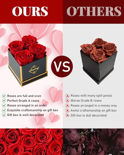 Changshunqi Forever Flowers, Preserved Roses in a Box, Eternal Rose Flowers for Delivery, Forever Preserved Roses Gifts fo...