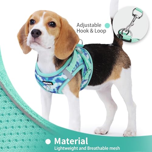 Jolifield Step in Dog Harness with Leash Set, Adjustable Soft Padded and Breathable Mesh for Small Sized Dog, Reflective N...