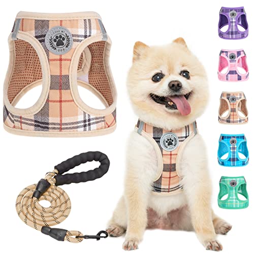 BEAUTYZOO Small Dog Harness and Leash Set,Step in No Choke No Pull Soft Mesh Dog Harnesses Reflective for Extra-Small Medi...