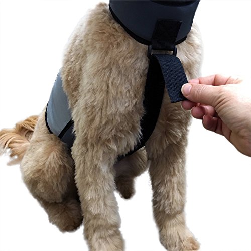 CoolerDog Dog Cooling Vest & Cooling Collar – Ice Vest for Hot Weather Heat Relief, Re-Freezable Pure Water Inserts (Mediu...