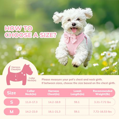 Small Dog Collar Harness and Leash Set, Dog Harness no Pull with Bowtie, Breathable Cotton Adjustable Pet Puppy Harness, E...