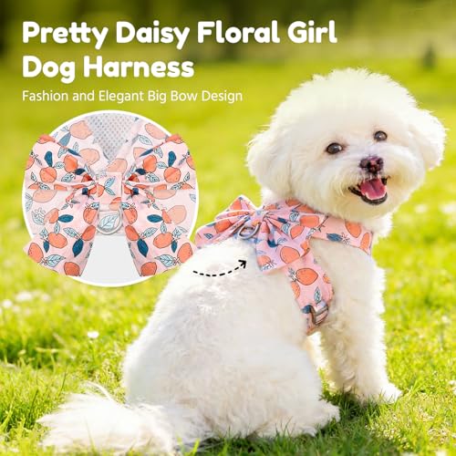 BAEJMJK Dog Harness and Leash Set with Bow Knot No Pull Pet Floral Harness with D-Ring Soft Mesh Dog Harness Vest Set Esca...