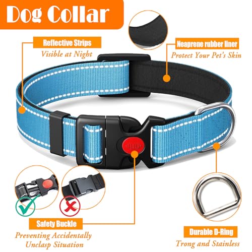 LOBEVE No Pull Dog Harness, Collar & Leash Set | Includes Dog Seat Belt, Collapsible Bowls & Poop Bag Dispenser. Ideal for...