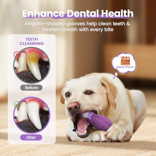 HGB Tough Dog Chew Toys for Aggressive Chewers, Squeaky Indestructible Dog Toy for Large Dogs to Keep Them Busy & Reduce B...