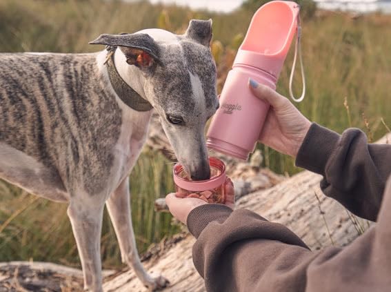 Waggle Bottle Stainless Steel Dog Travel Water Bottle, Vacuum Insulated Portable Dog Water Dispenser, Drink Cup and Snack ...