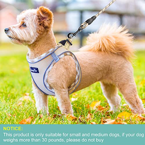 haapaw Dog Harness with Leash Set, No Pull Adjustable Reflective Step-in Puppy Harness with Thickened Padded Vest for Extr...