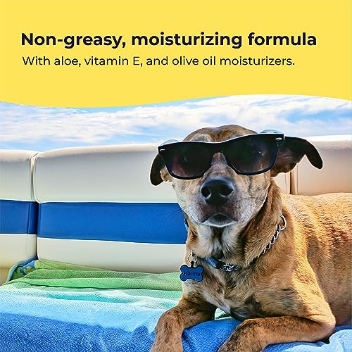 Gentle Creatures Dog Sunscreen - SPF 30+ With Skin Moisturizing Vitamin E and Olive Oil - No Zinc Oxide Safe for All Dogs ...