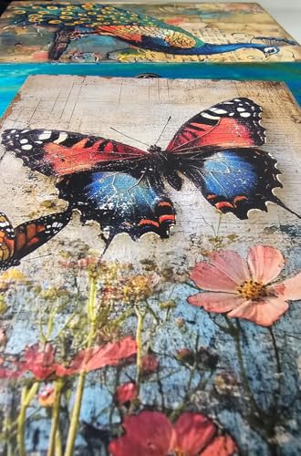 RK Collections Butterfly Trinket Box Small Jewelry Keepsake Box | Storage Box for Girls Women | Gift Idea, Animal Lover Or...
