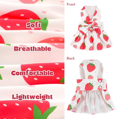 BAOBICUTE Dog Dress Harness Dresses Leash Set for Small Dogs Cute Girl Dog Clothes with Bowknot Puppy Outfits for Shih Tzu...