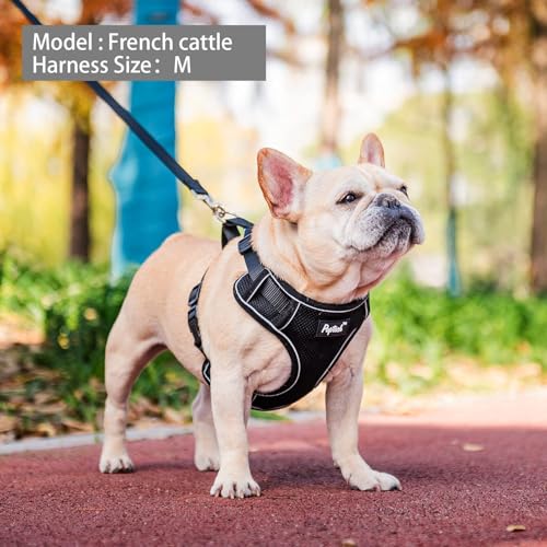 PUPTECK Small Dog Harness and Leash Set, No Pull Adjustable Puppy Cat Harness, Reflective Soft Mesh Pet Vest Small Sized, ...