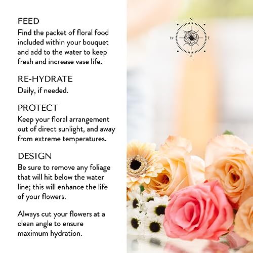 Floral Compass by Nature’s Flowers - Celebration Flower Bouquet - Prime Eligible, 30+ Fresh Cut Flowers for Delivery, No Vase