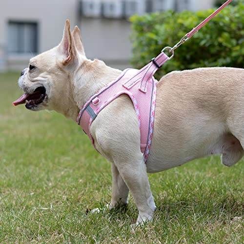 Mercano Soft Mesh Dog Harness and Leash Set, No-Chock Step-in Reflective Breathable Lightweight Easy Walk Vest Harnesses w...
