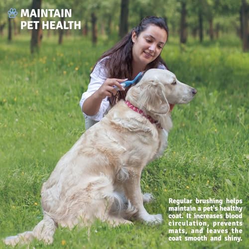 Round Bristle Pet Brush for Dogs and Cats - Soft Dog Brush for Grooming Short or Long Hair - Gentle Tool for Sensitive Ski...