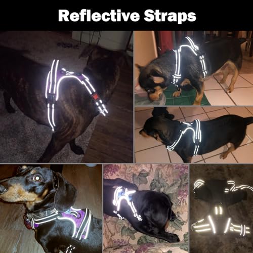 PHOEPET No Pull Dog Harness Medium Reflective Front Clip Vest with Handle,Adjustable 2 Metal Rings 3 Buckles,[Easy to Put ...