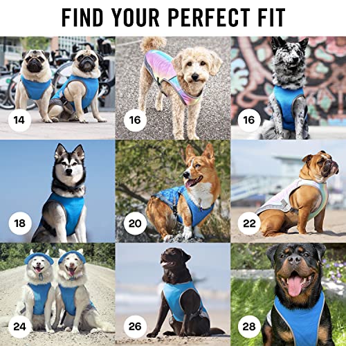 Canada Pooch Dog Cooling Vest - Evaporative Cooling Vest for Dogs with Breathable Mesh Material & Reflective Lining, Adjus...