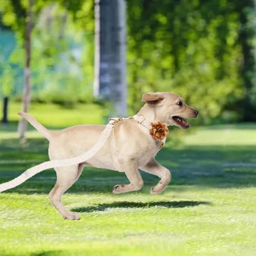 HQREA White Dog Harness and Leash Set Adjustable Lace Harness for Girl Dogs Luxury Dog Harness No Pull with Handle & Bow F...