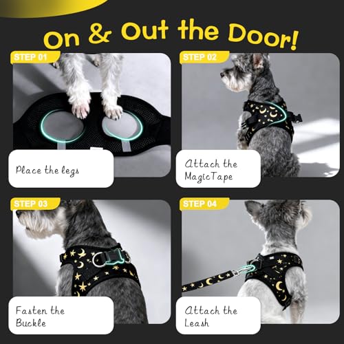 EXPAWLORER Small Dog Harness and Leash Set - Cute Puppy Harness Leash Dog Collar with AirTag Holder Silicone Case, Soft Pa...