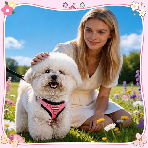 Coppthinktu Dog Harness with Leash Set for Small Sized Dogs Cats, No Pull Dog Harness Soft Mesh Cat Puppy Harness, Adjusta...