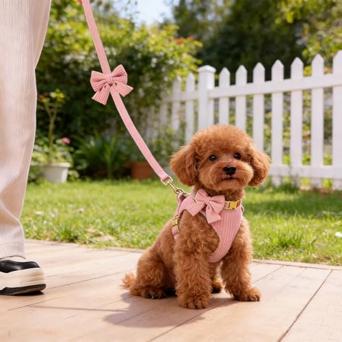 Cute Small Dog Harness Collar and Leash Set with Detachable Bowtie, Adjustable Dog Harness Collar and Leash Set with Secur...